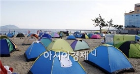 보성 율포솔밭해변에서 “별이 빛나는 밤에”