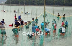 강진군, 제1회 서중어촌체험마을 개막이 축제 성료