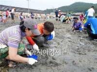 강진군, 제1회 서중어촌체험마을 개막이 축제 성료