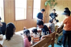 장흥, ‘정남진 편백숲 우드랜드 숲 체험’ 인기