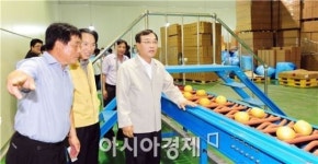 고창 ‘배’ 미국인 입맛 사로잡아