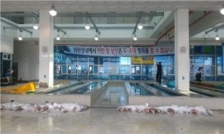 목포·신안수협 공동 활어 위판 중매인들 ‘뿔났다’