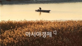 천고마비의 계절, 느낌 있는 도시, 순천으로 오세요