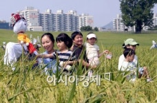 [포토]도심 속 허수아비