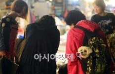 [포토]저도 장보러 왔지요