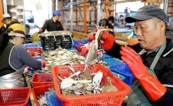 ‘일본 원전 피해’, 서해안이 주목 받는 까닭