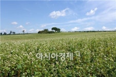 추석 명절 가족과 함께 나들이하기 좋은곳 ?