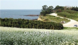 가을 정취 가득한 부안변산마실길, 즐거움 ‘두 배’