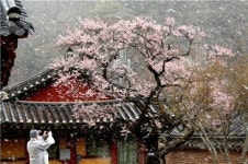 산·꽃··숲길…그 속에 즐거움이 있다네