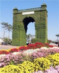 [포토]국화로 만든 실제크기 독립문 선보여 화제
