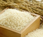 이천 쌀밥집에서 먹은 당신의 쌀에 이런 비밀이…