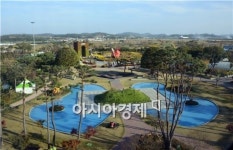 [포토]이국적인 낭만 풍기는 함평국화축제장