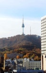 [포토]남산, 단풍으로 물들다