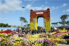 [포토]차가운 날씨속에 국화축제장 인산인해