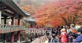 트로트계의 국민가수 김용임이 노래한 내장산뮤직비디오 나온다!