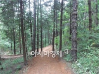 느낌 있는 휴식처로 변신한, 순천 봉화산