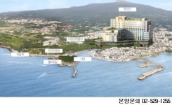 수익률 10% 보장받고 싶다면? 제주 엠스테이 호텔, 투자자들 북적