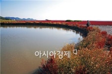 순천시, 수학여행 등 생태체험학습 메카로 자리매김