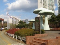가락시장 사거리에 태극기 물결