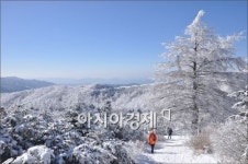 제3회 지리산 남원 바래봉 눈꽃축제 개최