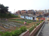 은평구 두꺼비하우징 산새마을 대한민국 경관대상 특별상 수상