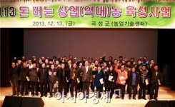 곡성군 억대농 220농가 육성사업 탄력