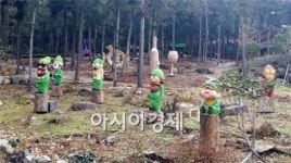 정남진 장흥 편백숲 우드랜드 숲속 미술관 탄생