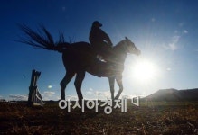 [포토]해를 향해 뛰는 청마가 되는 2014년을 기원하며