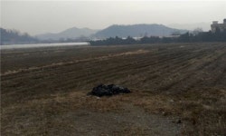금천구, 주말농장 회원 모집