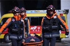 동물구조한다고 119구조대 서울서만 하루 53건 출동