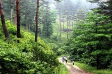 인간 평생(平生) ‘힐링학교’…숲이 복지다