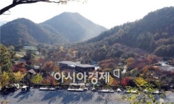 해남군, 치유와 힐링의 숲 조성한다