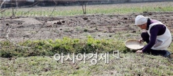 [포토]봄 마중하는 아낙네