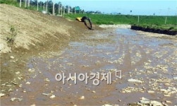 고흥자동차정비공업사명 | 고흥군, 우기 및 영농기 대비 하천정비사업 조기 추진