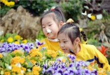[포토]와~나비다