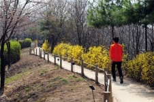 음악 들으며 걷는 배봉산 산책로