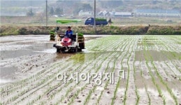 정읍시, 첫 모내기 덕천면 학전뜰에서 시작