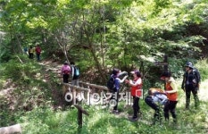 전남 녹색 명품길, 피톤치드 다량함유 된 곡성 섬진강 둘레길