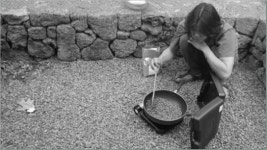 이효리 블로그 속 렌틸콩이 뭐길래? 제주도 조용한 아침식사에 딱