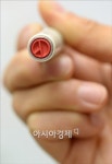 [포토]6.4 지방선거, 당신의 선택은?