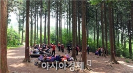 장성 축령산, 도시민 힐링지로 ‘각광’
