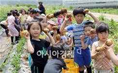 전통 모내기로 밥의 소중함 배워요