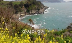 올여름 남해안의 보석 여수 ‘365 섬 관광’ 어떠세요