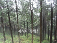 [자 ~떠나자]여름 휴가 힐빙1번지, ‘느랭이골 자연리조트’