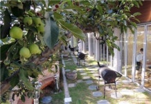 [남도명가]도심속 공원같은 특별한 고깃집 ‘농가농가’