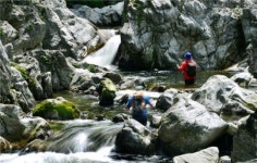 ‘첨벙 첨벙’ 계곡에 들면 그곳이 곧 길이다