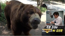 동물농장 김상중 깜짝 출연 그런데 말입니다 폭소