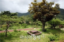 정남진 장흥 또 하나의 힐링명품,  “하늘빛 수목원”