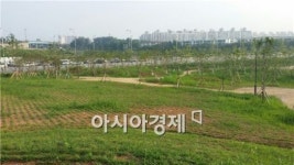 광주 북구 첨단지구 31호 교통광장, 녹색공간으로 탈바꿈
