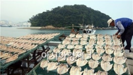 완도대수해산물(주) | [포토]해산물 말리는 완도항 풍경